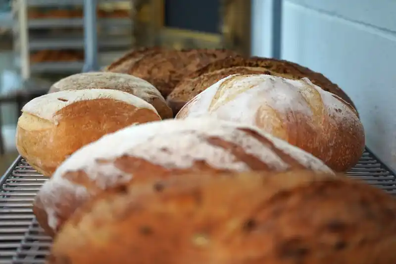Bakery Gallery