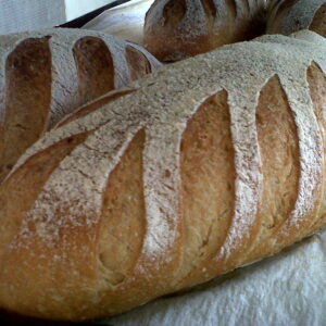 sourdough loaves