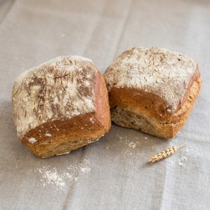 White Campainou