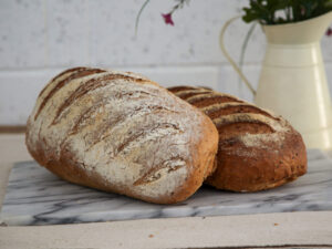Malt Grain Bloomer