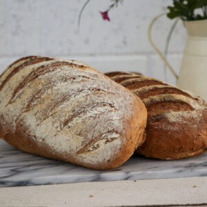 Malt Grain Bloomer