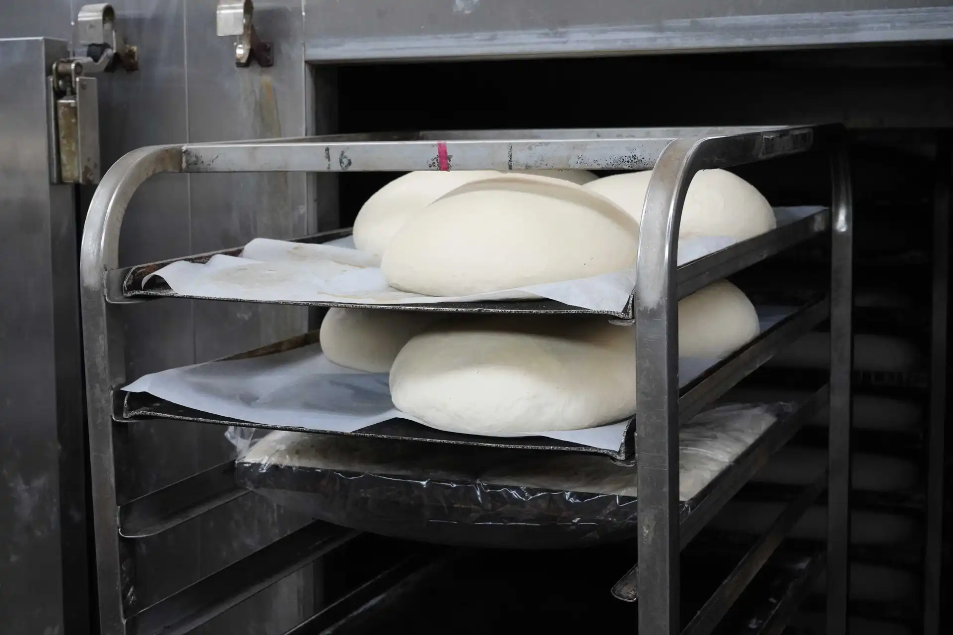 Sourdough bread proofing